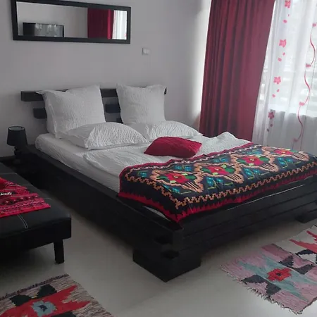 Casa Nico Nelu Duplex Arieşeni