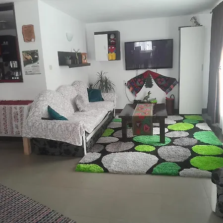 Casa Nico Nelu Duplex Arieşeni