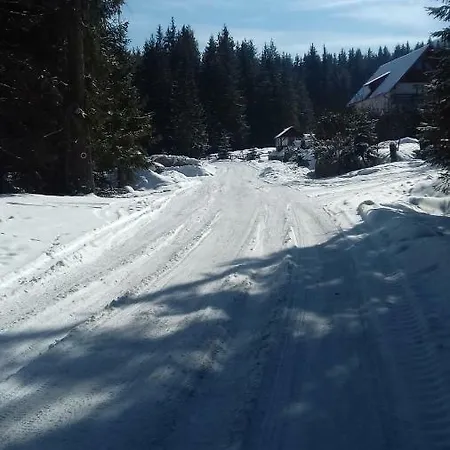 Casa Nico Nelu Duplex Arieşeni